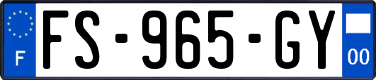 FS-965-GY