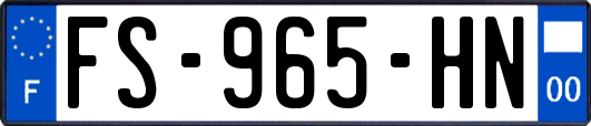 FS-965-HN