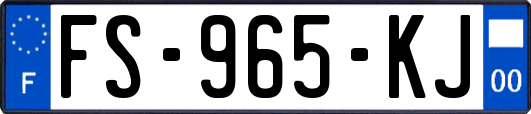 FS-965-KJ