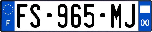 FS-965-MJ