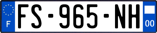 FS-965-NH