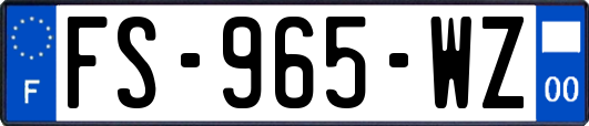 FS-965-WZ