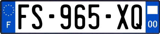 FS-965-XQ