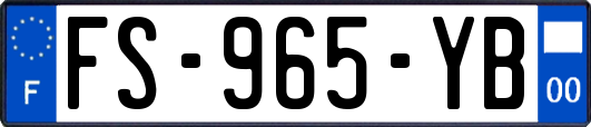 FS-965-YB