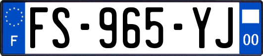 FS-965-YJ