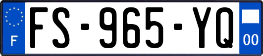 FS-965-YQ