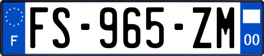 FS-965-ZM