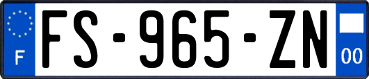 FS-965-ZN