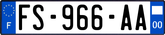 FS-966-AA