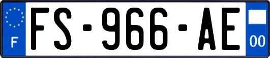 FS-966-AE