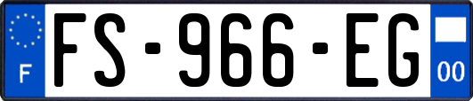 FS-966-EG