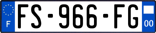 FS-966-FG