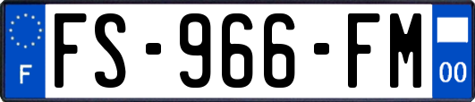 FS-966-FM