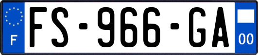 FS-966-GA