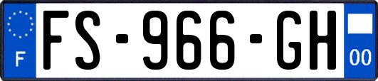 FS-966-GH