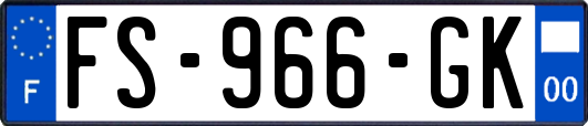 FS-966-GK