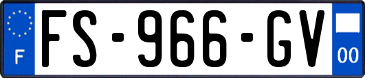 FS-966-GV