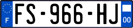 FS-966-HJ