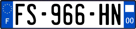 FS-966-HN