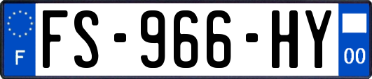 FS-966-HY