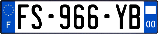 FS-966-YB