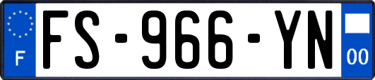 FS-966-YN