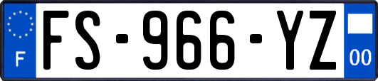FS-966-YZ