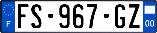 FS-967-GZ