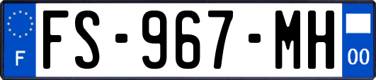 FS-967-MH