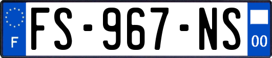 FS-967-NS