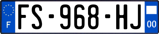 FS-968-HJ