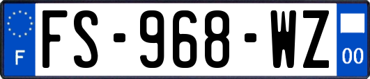 FS-968-WZ