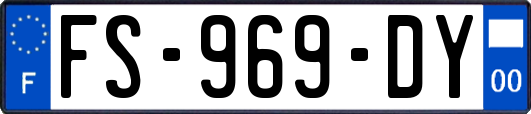 FS-969-DY