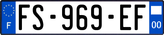 FS-969-EF