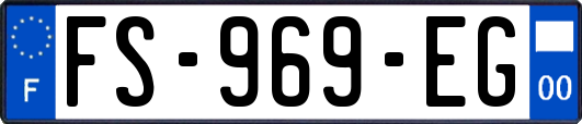 FS-969-EG