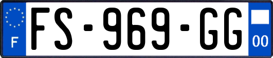 FS-969-GG