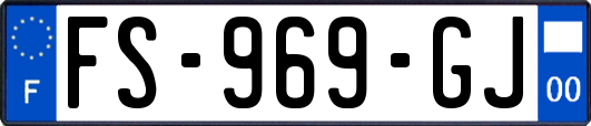 FS-969-GJ