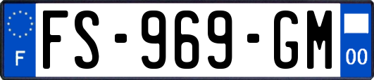 FS-969-GM