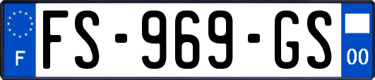 FS-969-GS