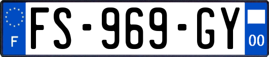 FS-969-GY