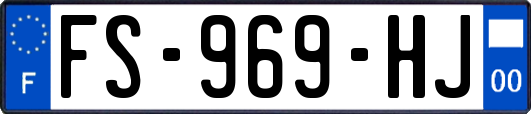 FS-969-HJ