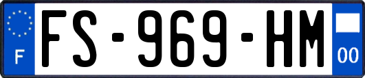 FS-969-HM