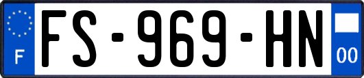 FS-969-HN