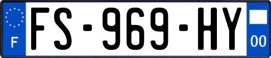 FS-969-HY
