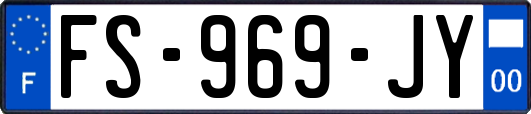 FS-969-JY