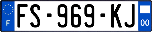 FS-969-KJ