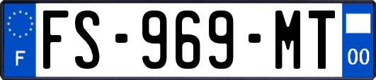 FS-969-MT
