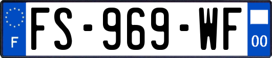 FS-969-WF