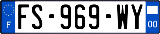 FS-969-WY
