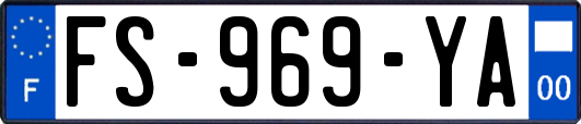 FS-969-YA